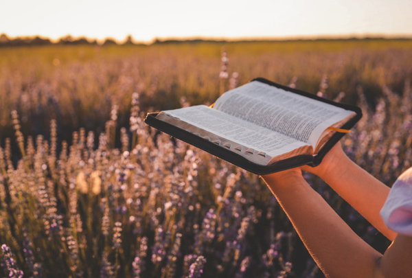 Дотримуйтеся слова