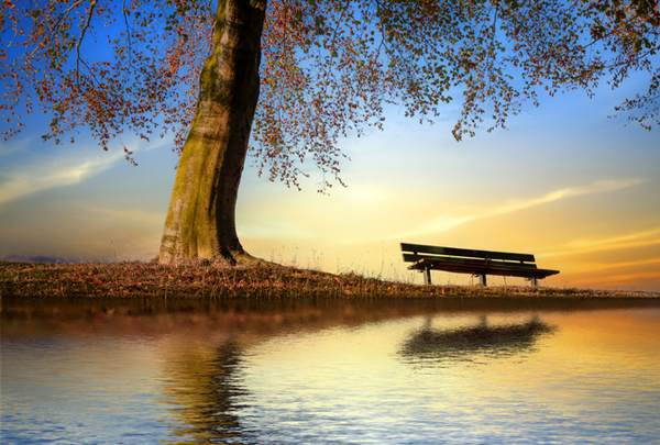 Ніколи не забувайте